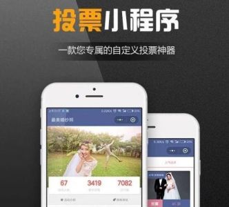 怎么找網(wǎng)站建設(shè)公司開(kāi)發(fā)投票系統(tǒng)