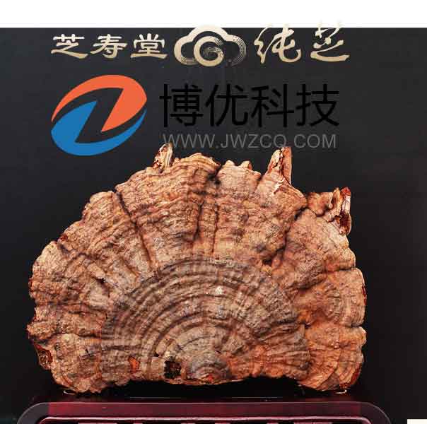重慶洋世達(dá)實(shí)業(yè)(集團(tuán))有限公司旗下北京芝壽堂健康管理有限公司委托我司網(wǎng)站。正是看中我司強(qiáng)大的技術(shù)團(tuán)隊(duì)和多年的建站經(jīng)驗(yàn)。